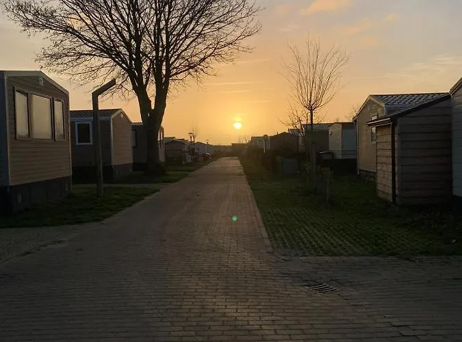 Oostkapelle Chalet Jd 56 In De Bongerd
